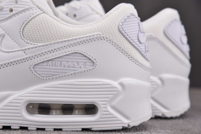Nike Air Max 90 