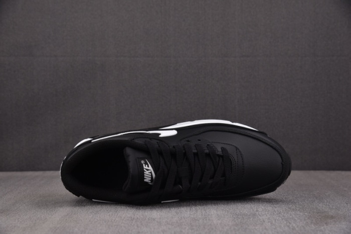 Nike Air Max 90 Leather GS 
